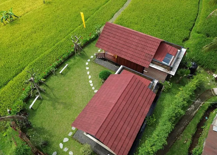 Uma Ayu Bali Munduk