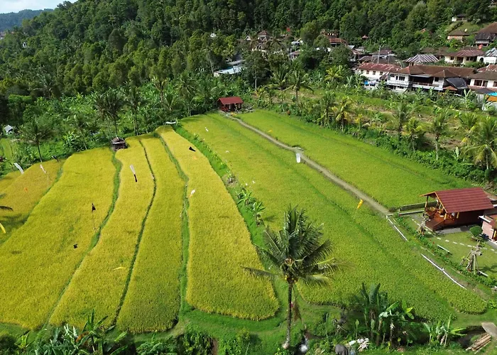 Uma Ayu Bali